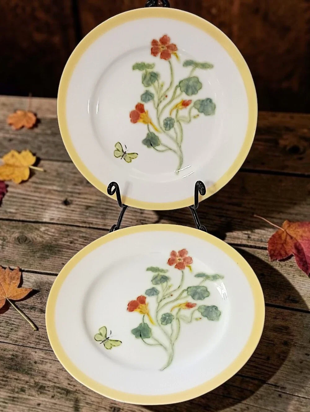2 Williams Sonoma Flowering Herbs Salad Plates Purple Herb Flowers Nasturtium